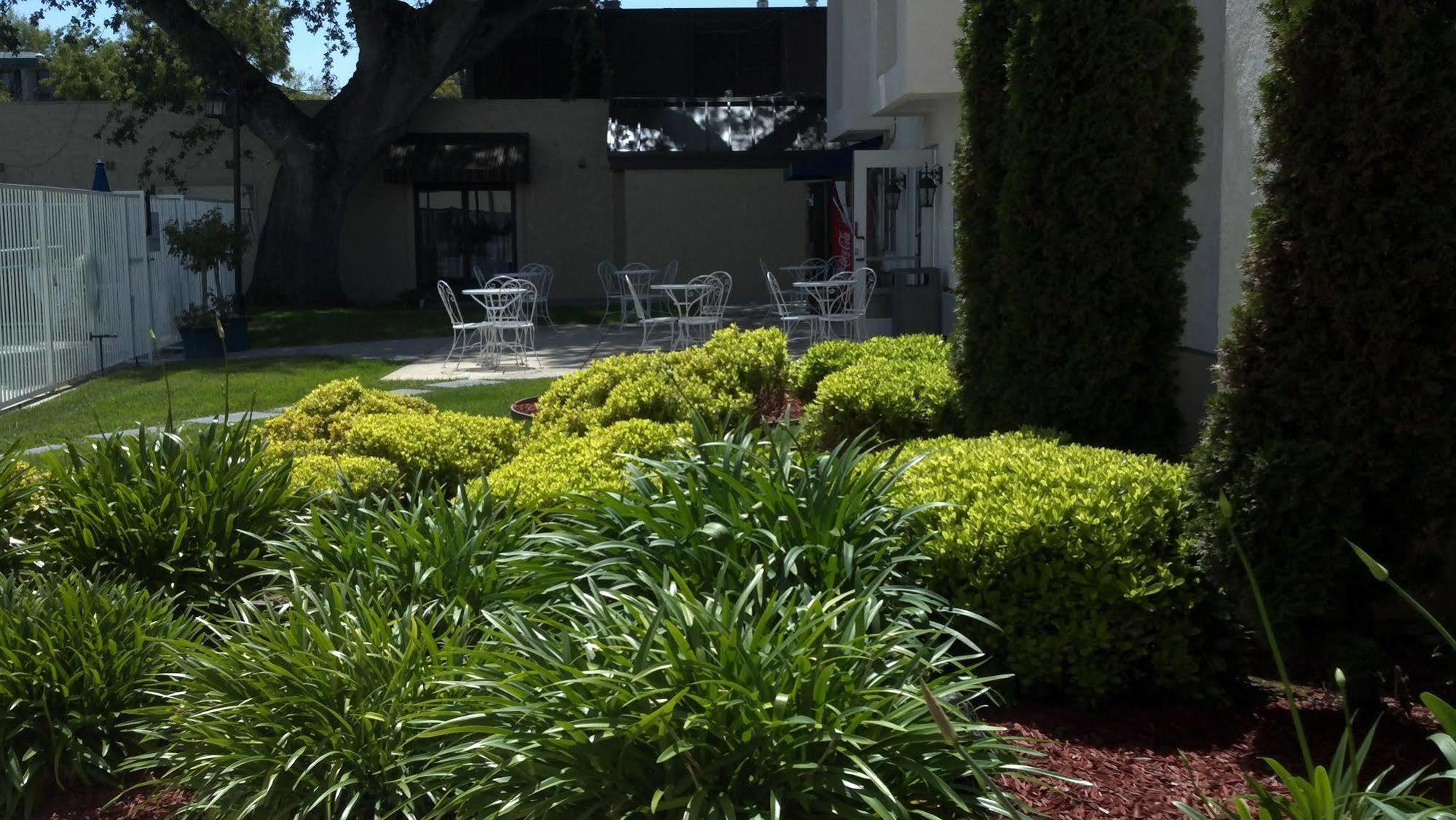 The Hotel Aria - Mountain View Exterior foto